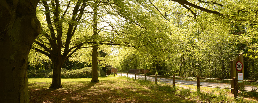 Millgate, Aylsham Norfolk